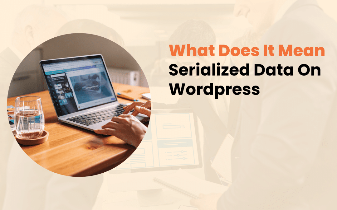 What Does It Mean Serialized Data On WordPress​